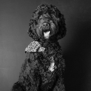 Fundraising Page: Milo Dobbins-Nye